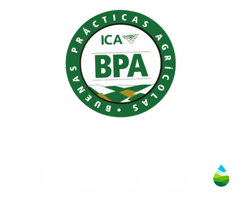 ICA BPA